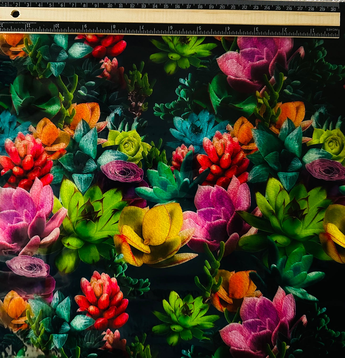 Succulence (A34)