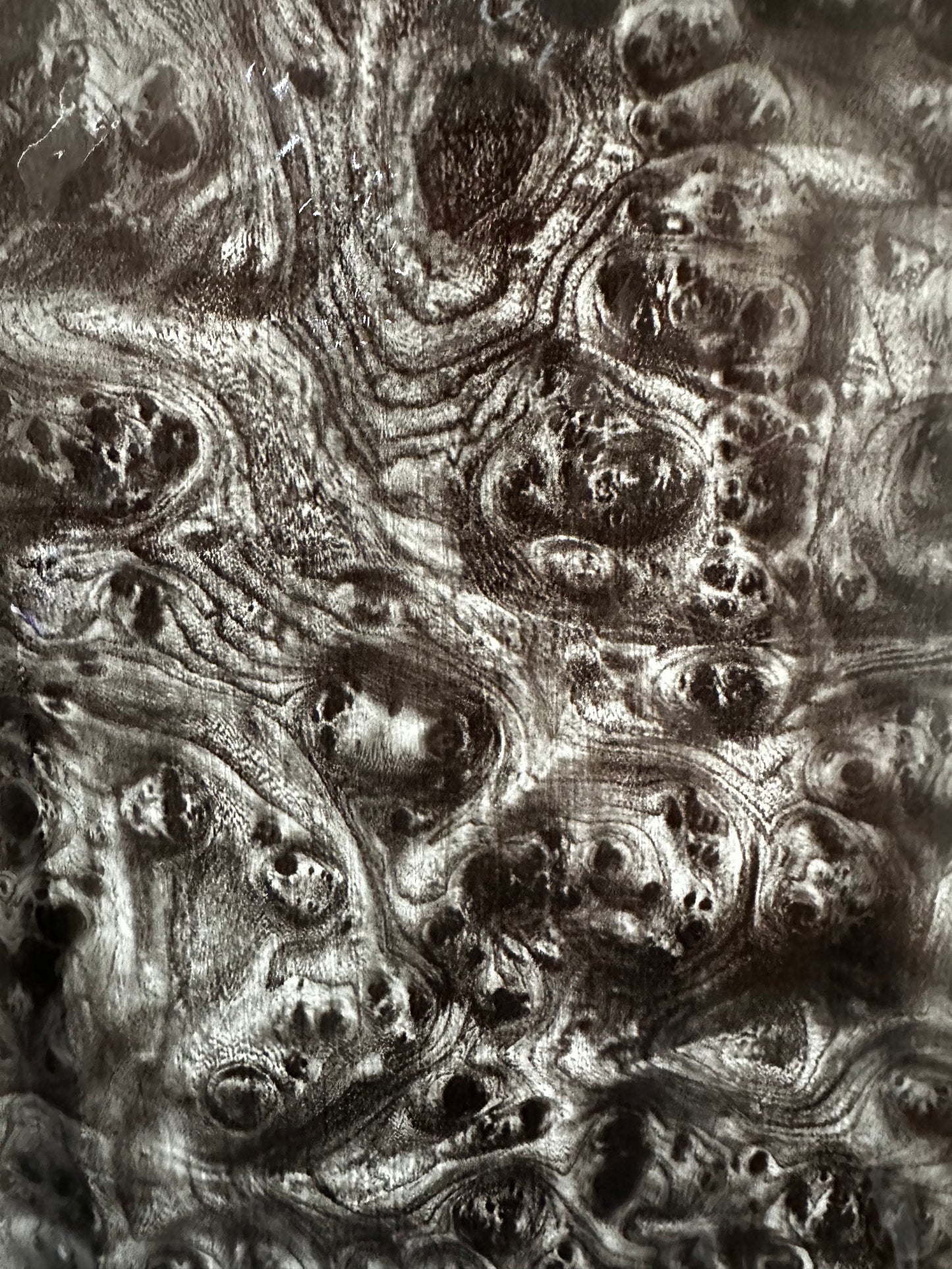Black Burl Wood