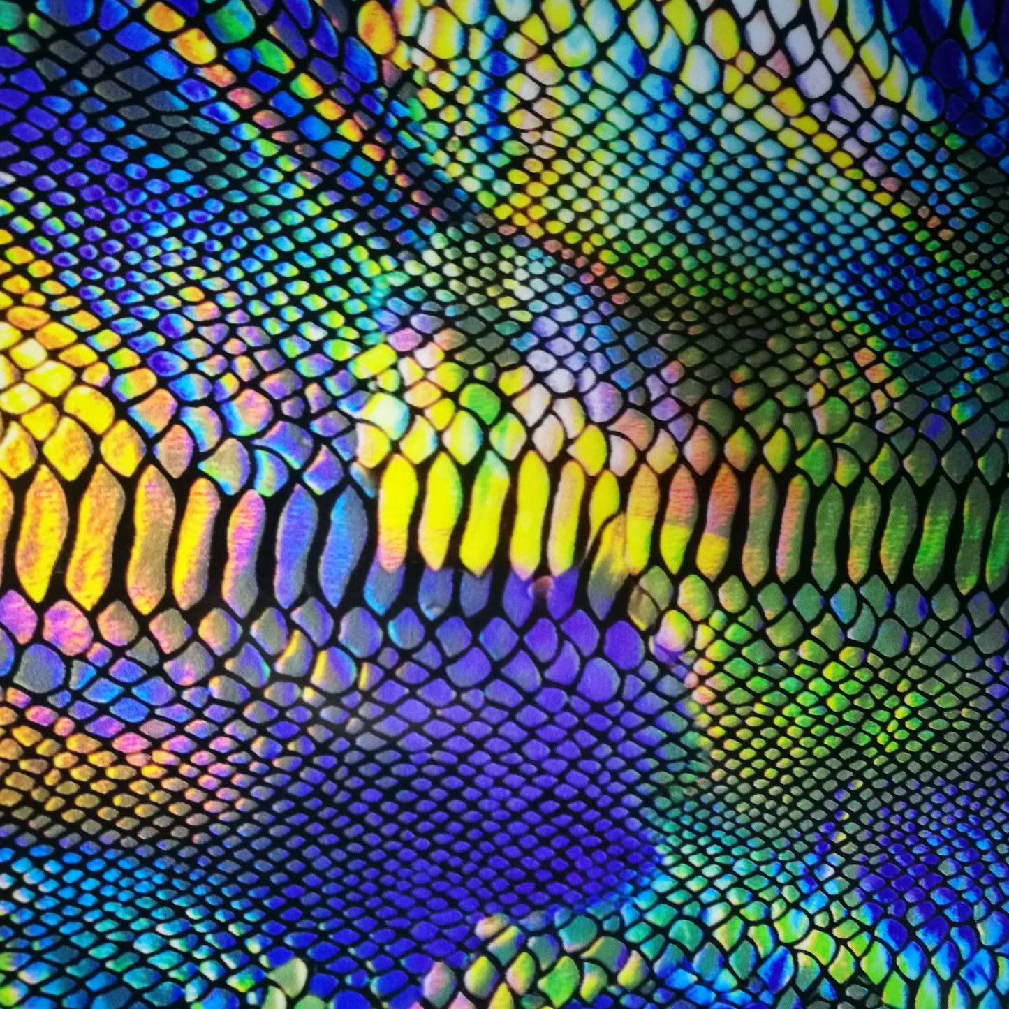 MULTI COLOR SCALES