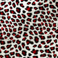 Red Cheetah