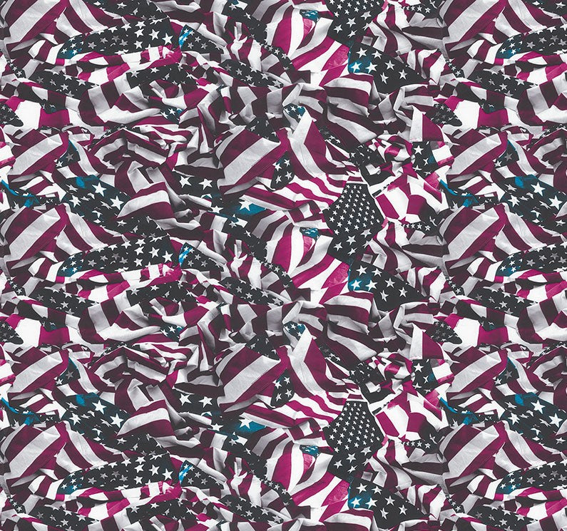 American Flag 5