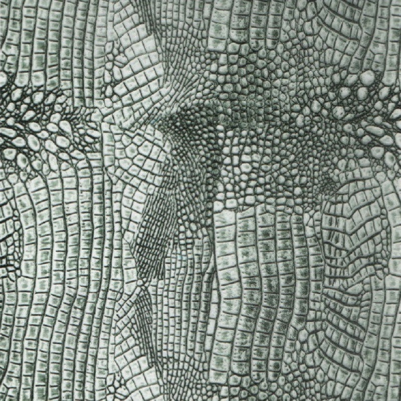 REPTILE SKIN
