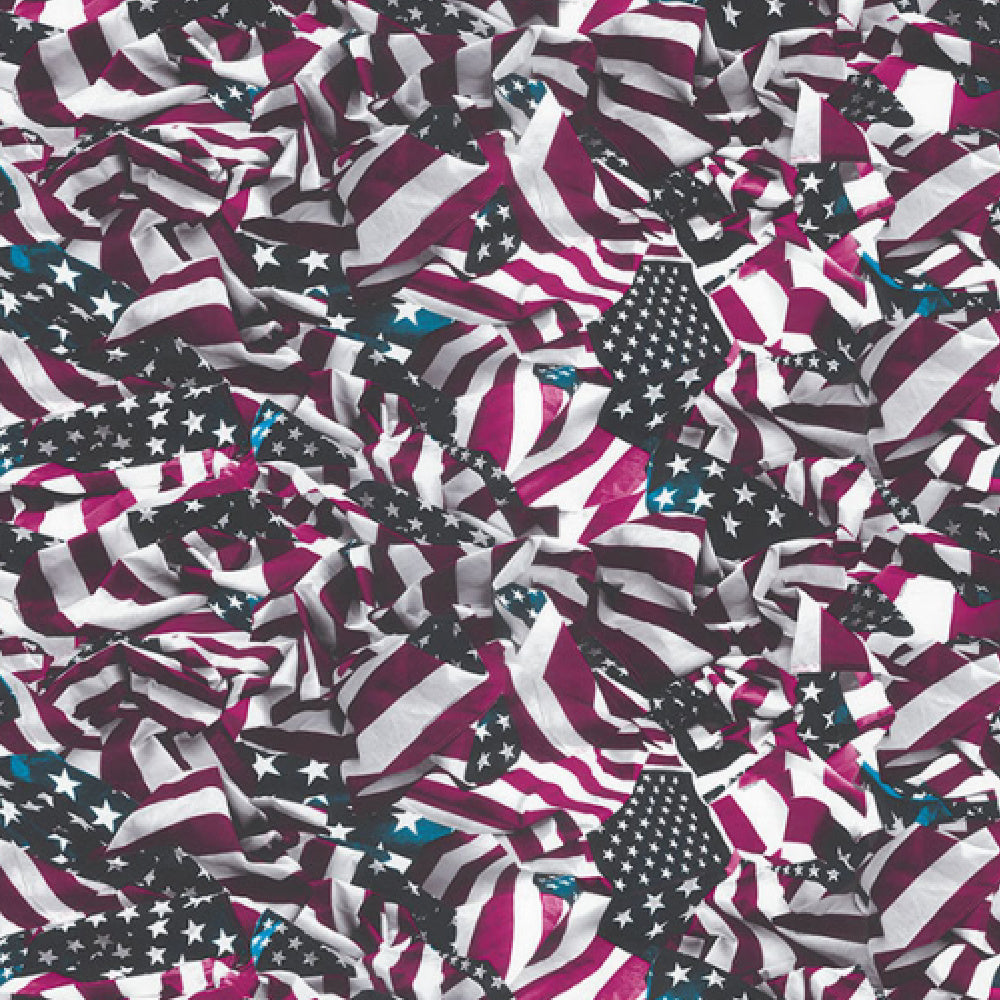American Flag 5