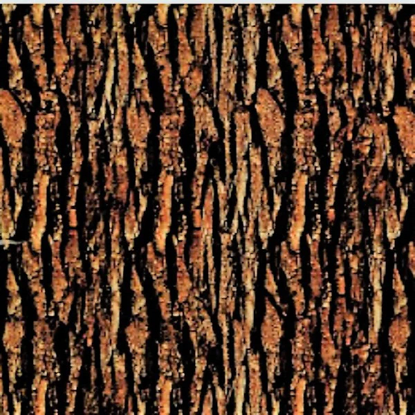 TREE BARK #1