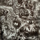 Black Burl Wood