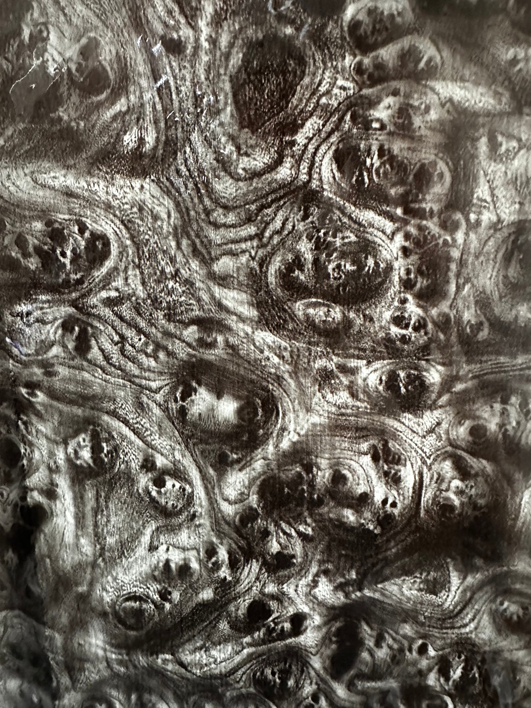 Black Burl Wood