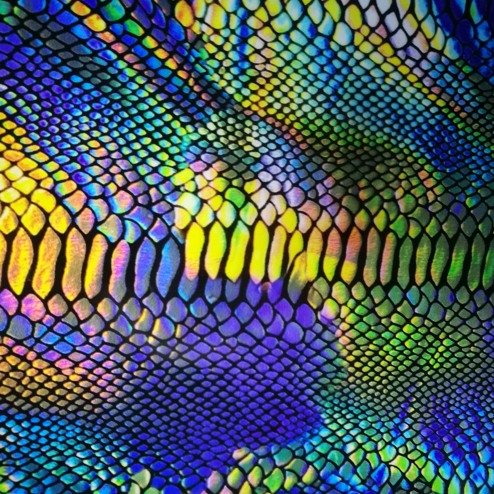 MULTI COLOR SCALES
