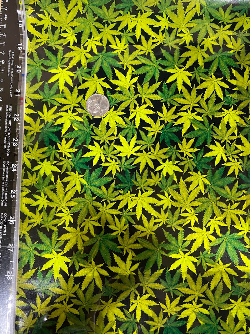 Cannabis, New(A19)