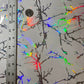 Holographic Snow Prism