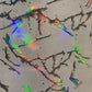 Holographic Snow Prism