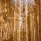 Wood Grain 22