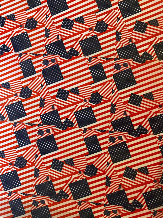 American Flag 6