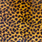 Spotted Cheetah