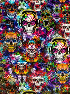 Rainbow Fire Skulls XXL