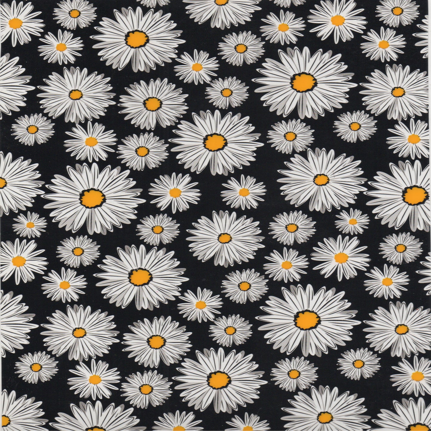 Daisy (A4)