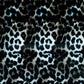 Cobalt Cheetah