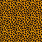 Spotted Cheetah