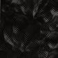 Wavy Carbon Fiber