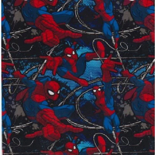 SPIDER DUDE