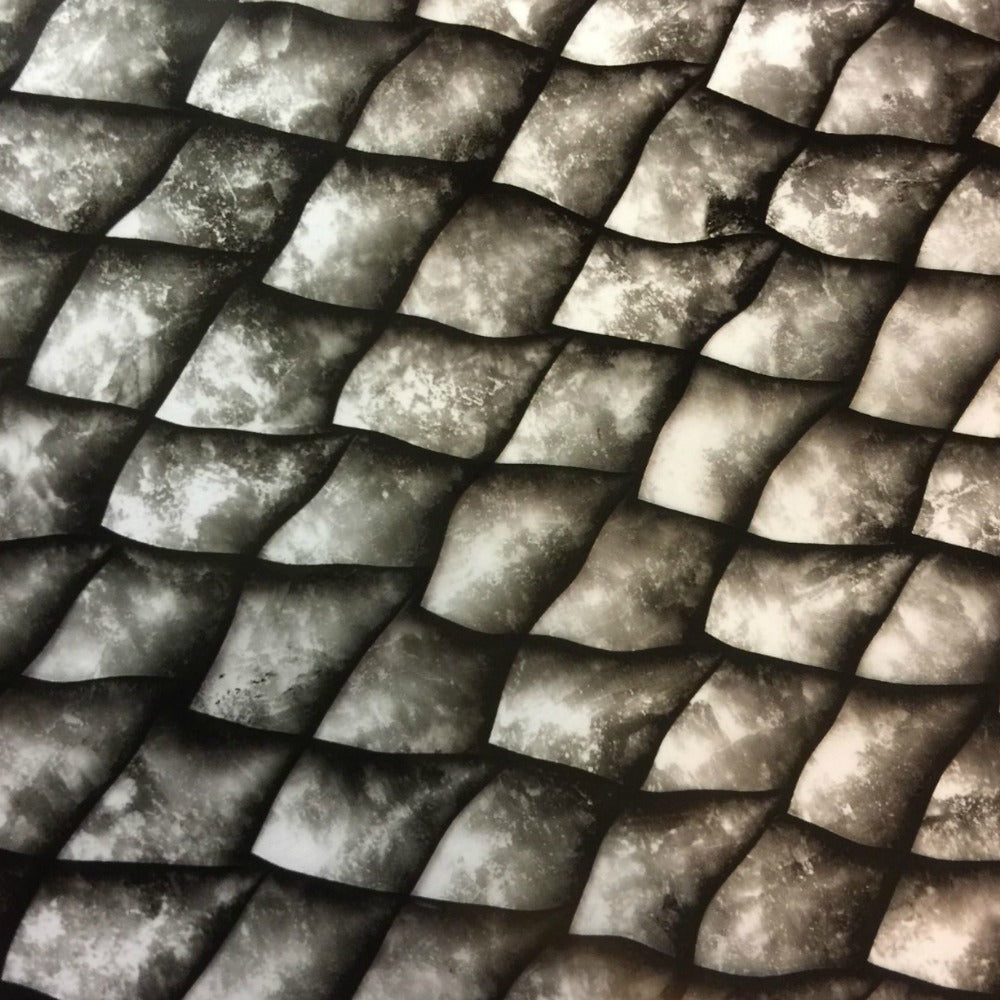 DRAGON SCALES