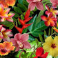 Tropical Flowers (A7)
