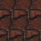 Brown Snake Skin