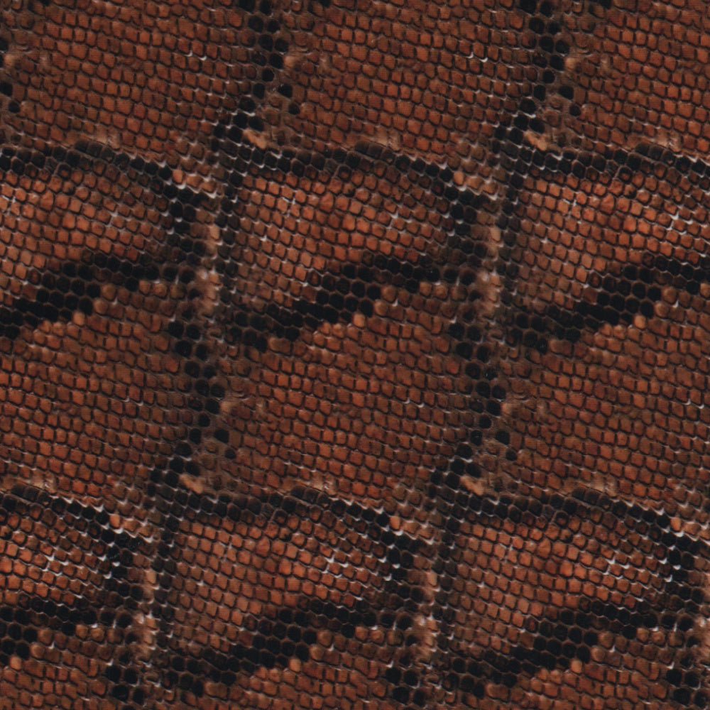 Brown Snake Skin