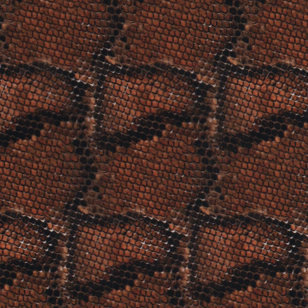 Brown Snake Skin