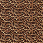 Fuzzy Leopard