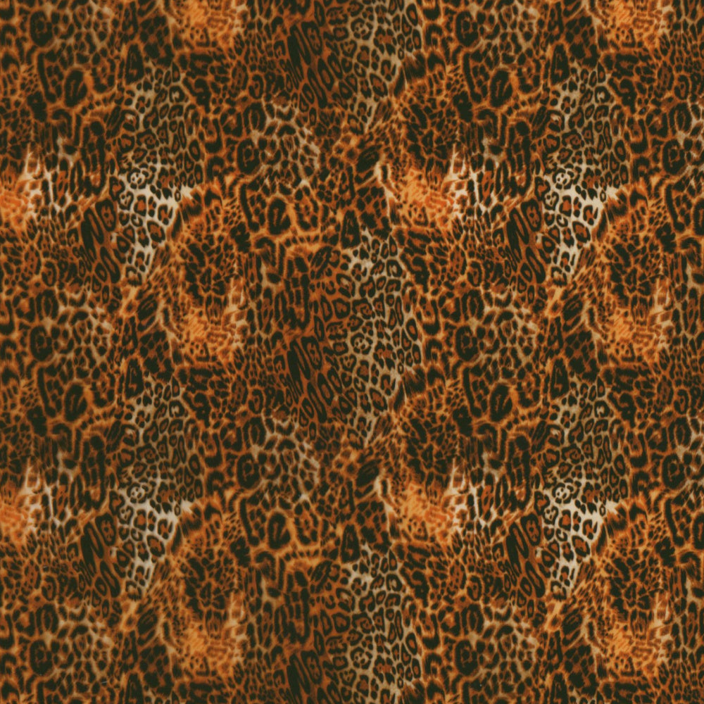 Brown Leopard