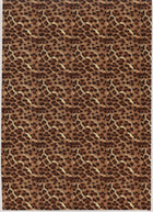 Fuzzy Leopard