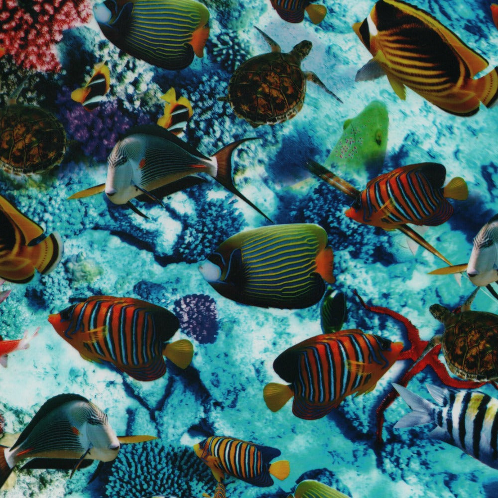 TROPICAL FISH