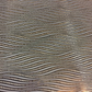 WAVY LINES